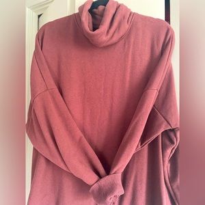 Aerie turtle neck sweatshirt. Cozy. Runs slightly big for that oversized look.